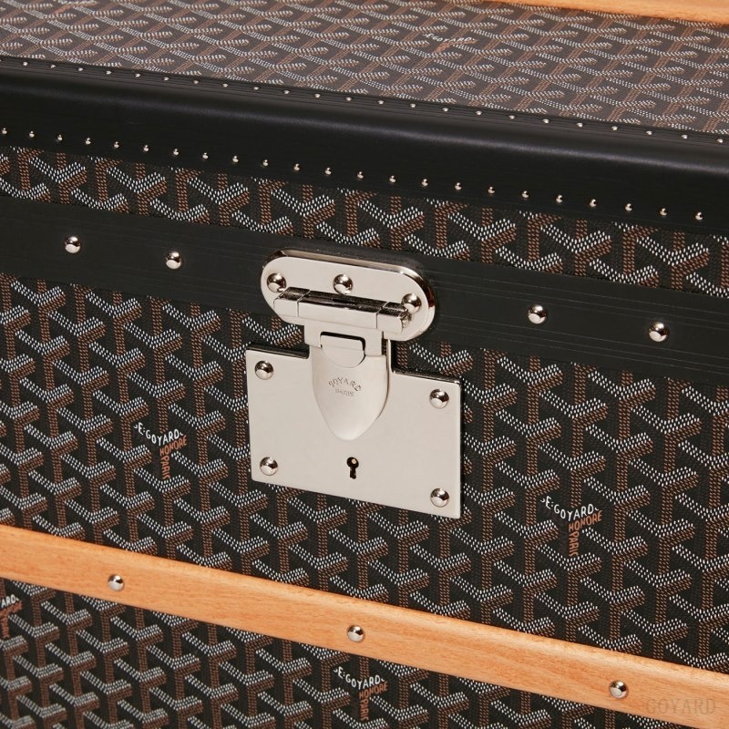 Goyard CABINE TRUNK Black | QVAE1979