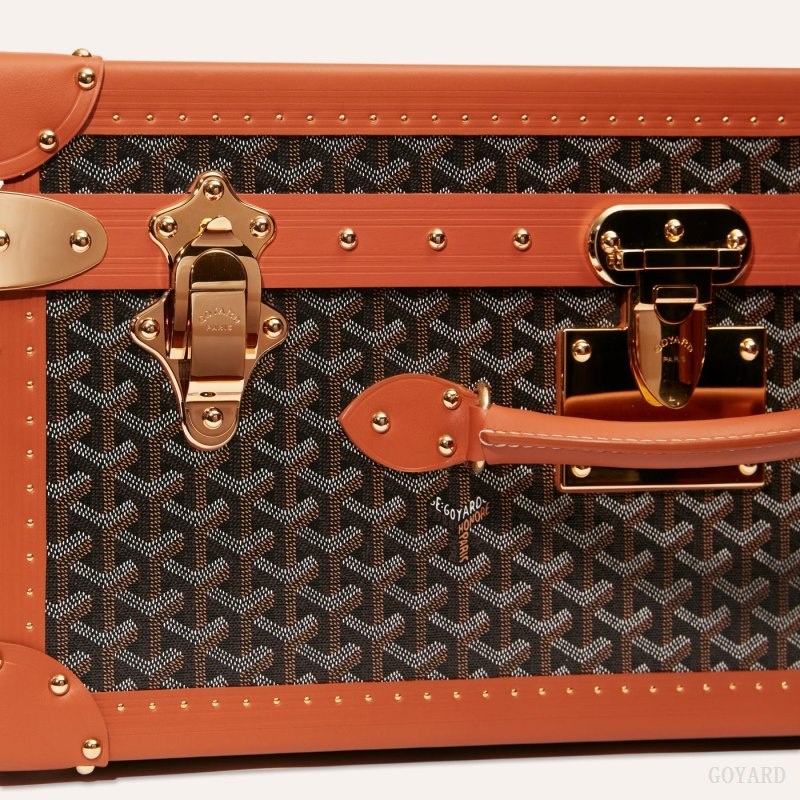 Goyard PALACE 55 SUITCASE Black / Brown | NSSG3216