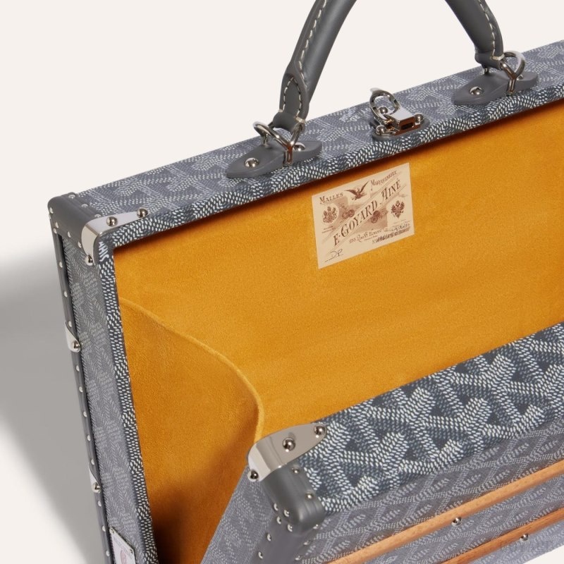 Goyard PALACE MM TRUNK BAG Grey | BACZ2189